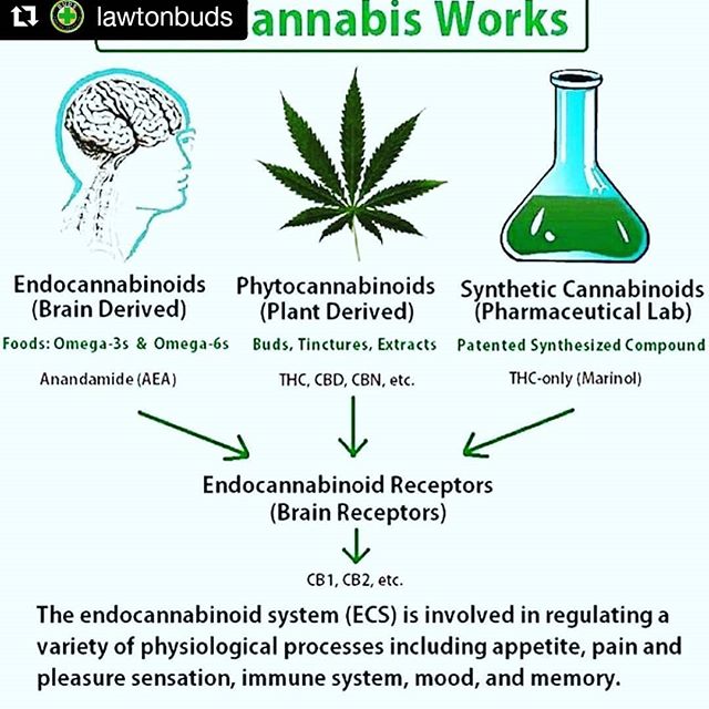 Fire Leaf Dispensary - West OKC Website