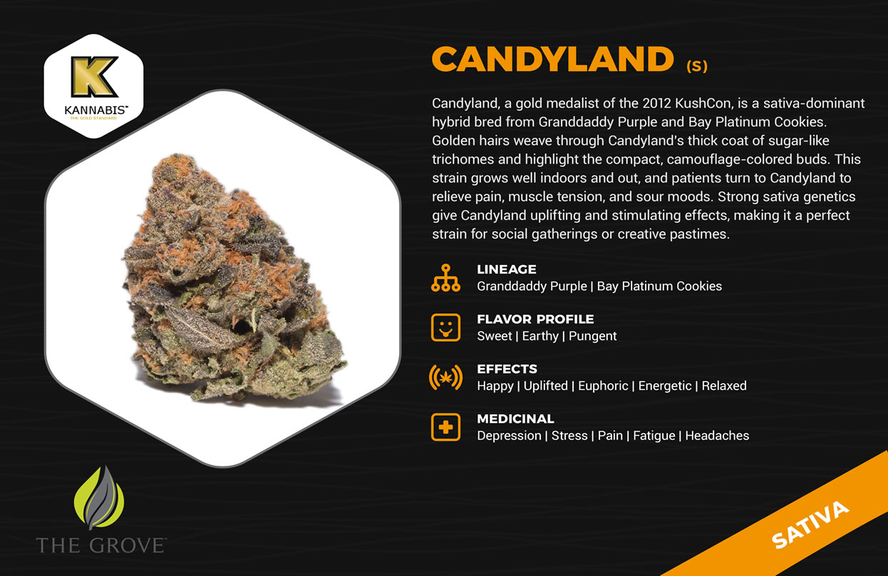 The Grove - Las Vegas Website