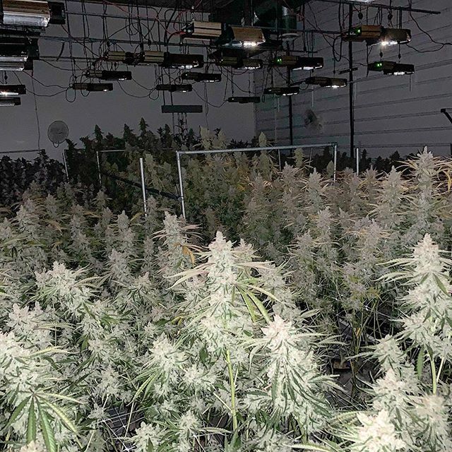 Spark1 - Bozeman Website