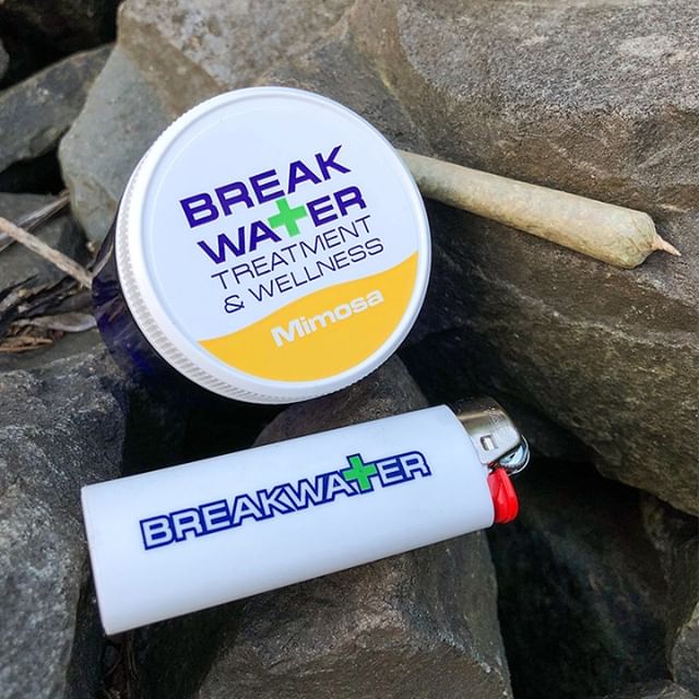 Breakwater Alternative Treatment Center Website