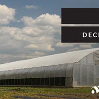 Advancing Alternatives Website