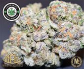 LOS ANGELES KUSH - EAST LA Website