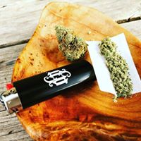 Diego Pellicer - South Denver Website