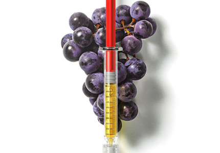 PurLife - Montgomery Website