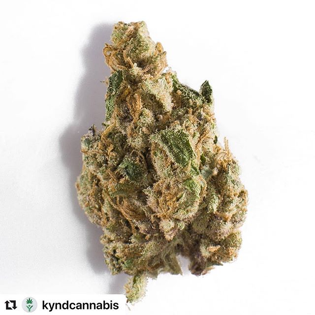 Mynt - North Reno Website