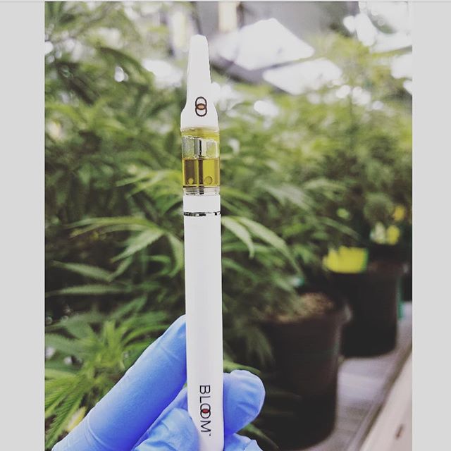 New Mexico Alternative Care Website