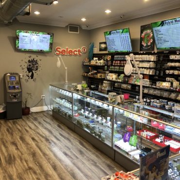 Canto Diem Collective Website