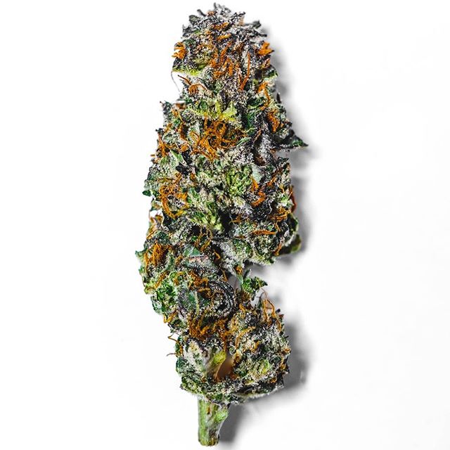 Cultivate Recreational Website