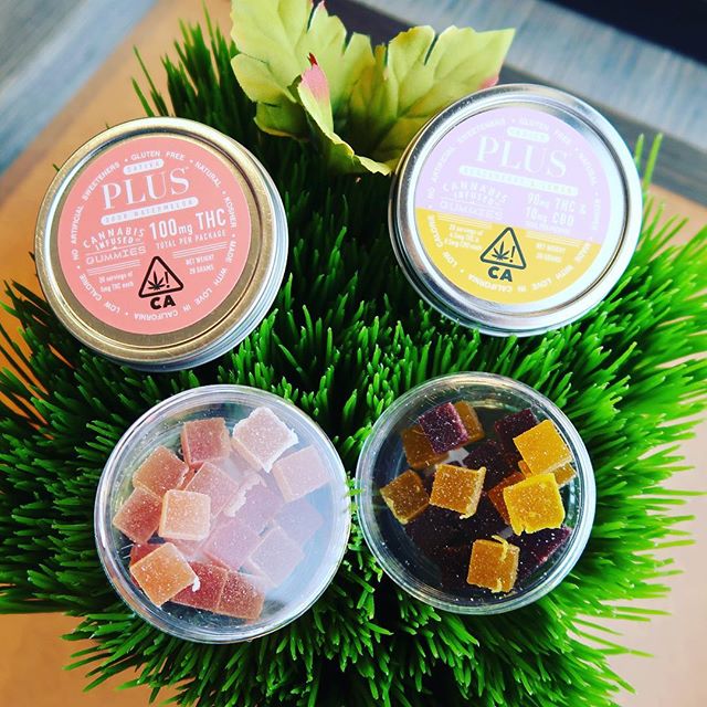 Bud and Bloom - Santa Ana Website