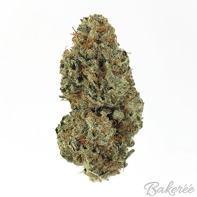 The Bakeréé Website