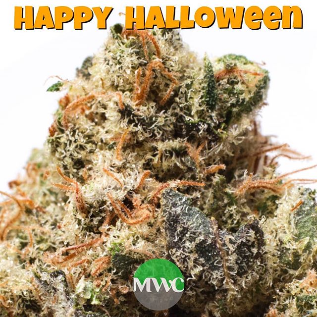 Metropolitan Wellness Center Website