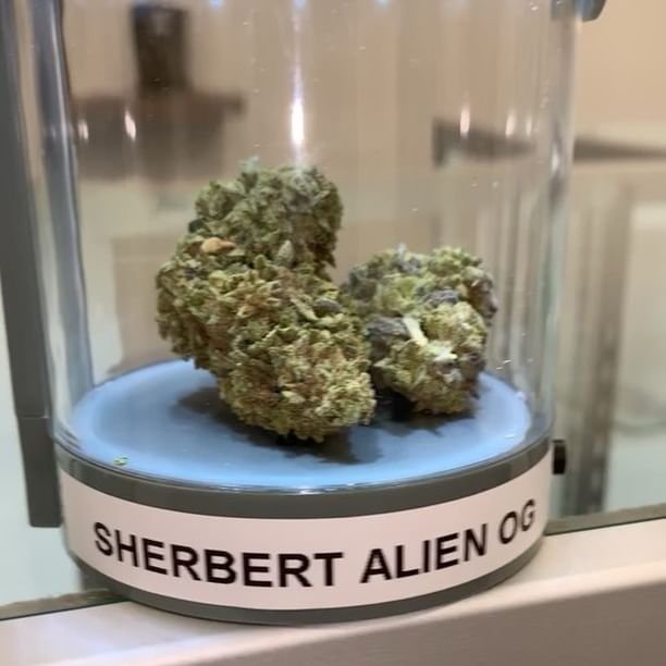 Greenwood Wellness Dispensary Website