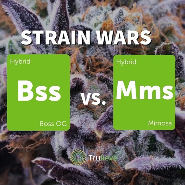 Trulieve - Boynton Beach Website