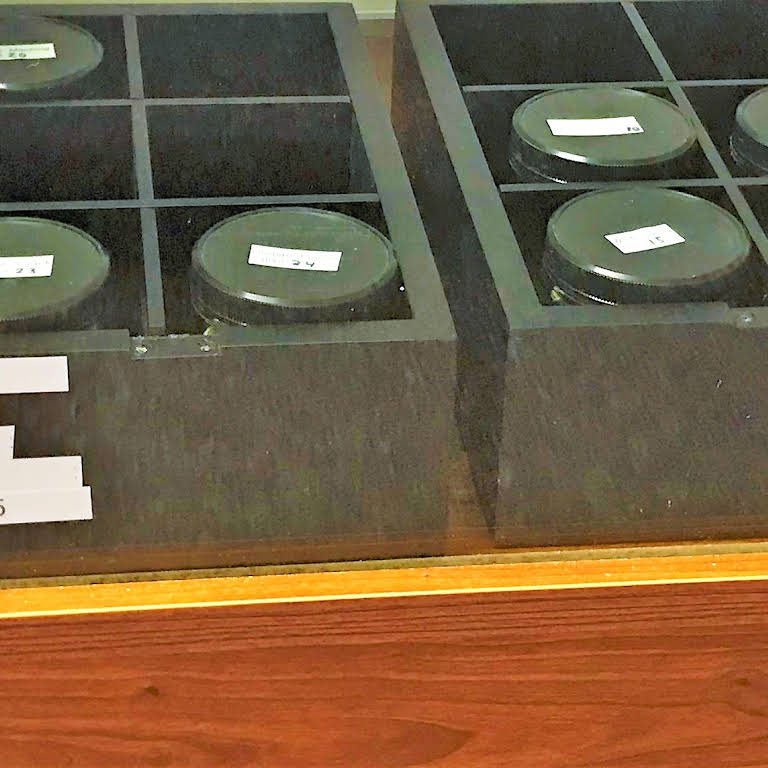 Tumbleweeds - Winslow Website