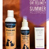 Nashville CBD Solutions Website