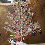 White Rabbit Cannabis - Lynnwood Website