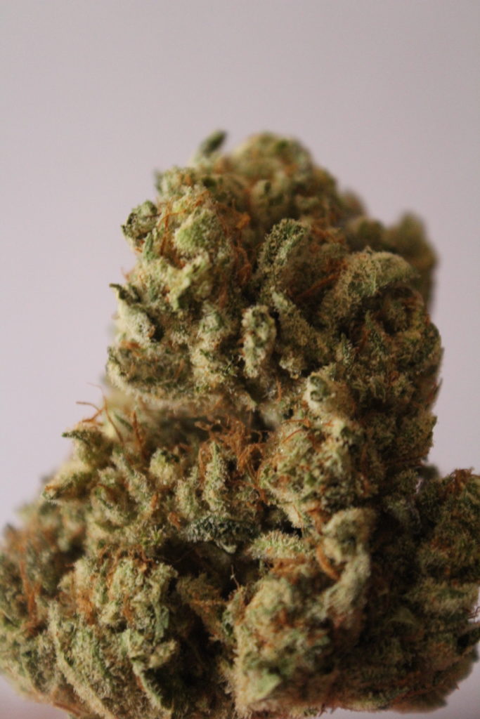 AGT - Lake Forest Website