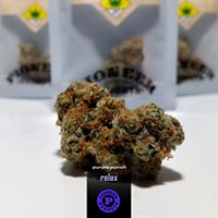 Pioneer Nuggets Website