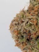 Silhouettes Services - Oregon City Website