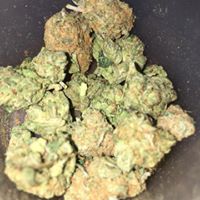LoudPack Farms Website