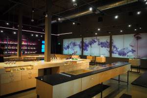 Altitude East Denver Website