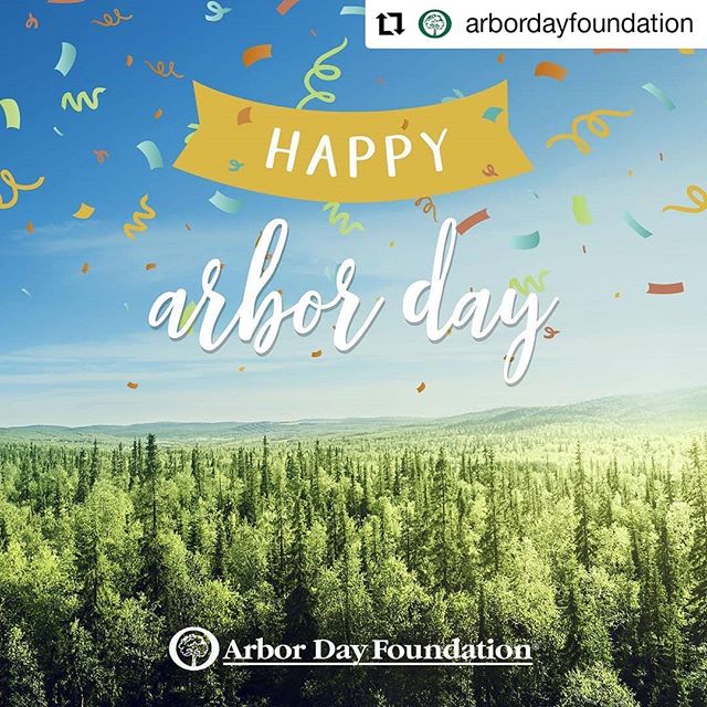 CBD Plus USA - Dallas - CBD Only Website