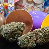 Best Buds Delivery Website