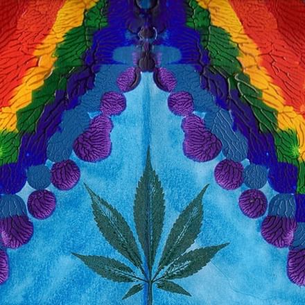 Elevation: Squaxin Tribe Retail Marijuana Website