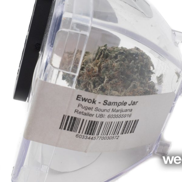 A Greener Today - Lynnwood Website