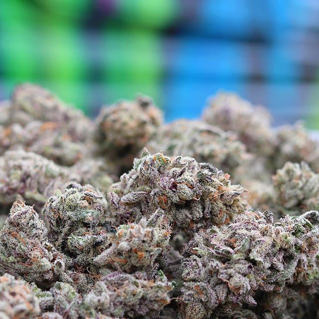 Grass Monkey Cannabis Company Website