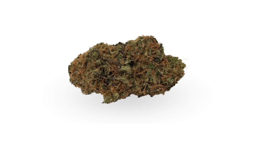 Nature's Medicines - Fall River Website