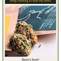 New MexiCann Website