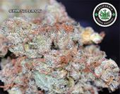 LOS ANGELES KUSH - EAST LA Website