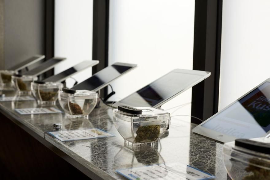 Euflora - Longmont Website