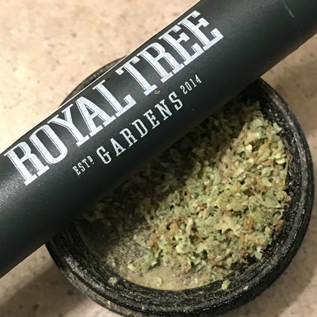 Cinder - North Division Website