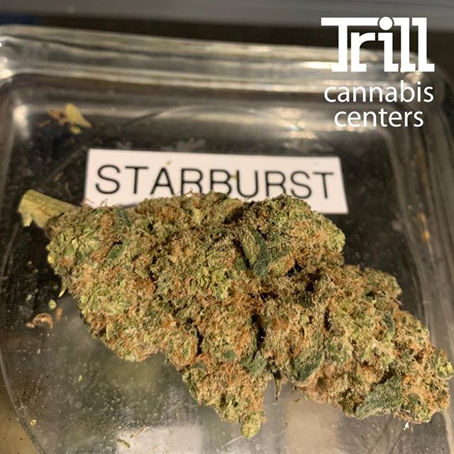 Trill Alternatives - MEDICAL Website