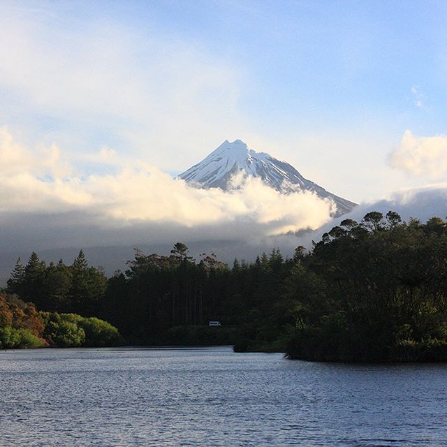 Flavors Detroit Website