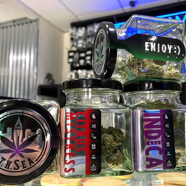 Elite - Lacey Website