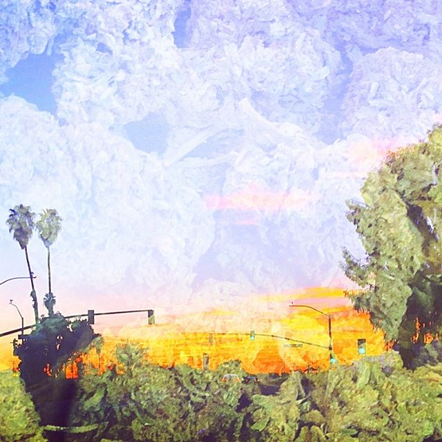 Canopy Health and Wellness Website