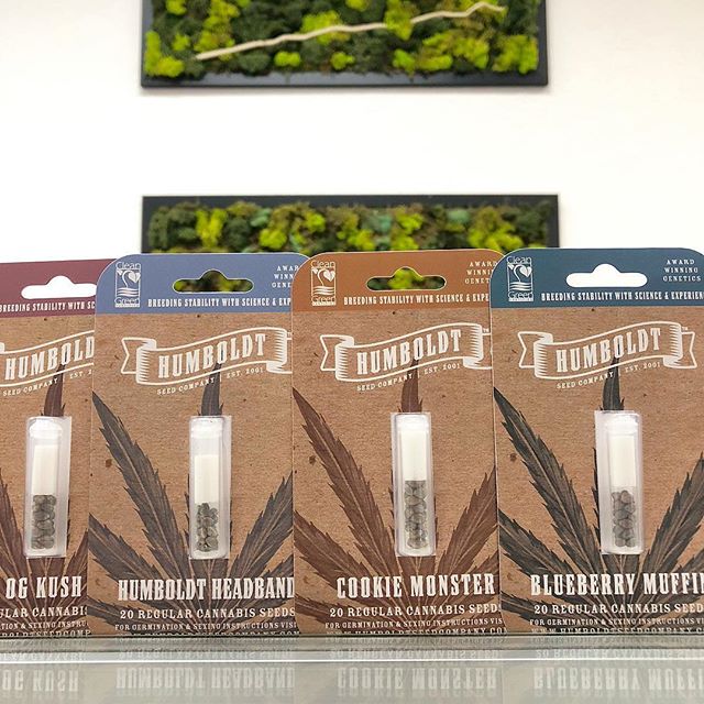 Synergy Redding Website