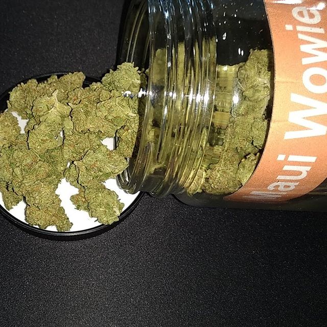 HI Casual Cannabis Astoria Website