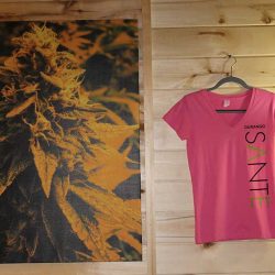 Santé - Durango Website