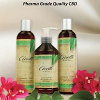 CBD PUR US, LLC Website