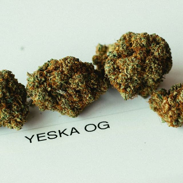 The Joint Cannabis Club OKC Website