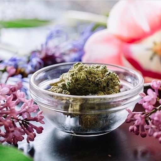 Emerald Fields Manitou Website