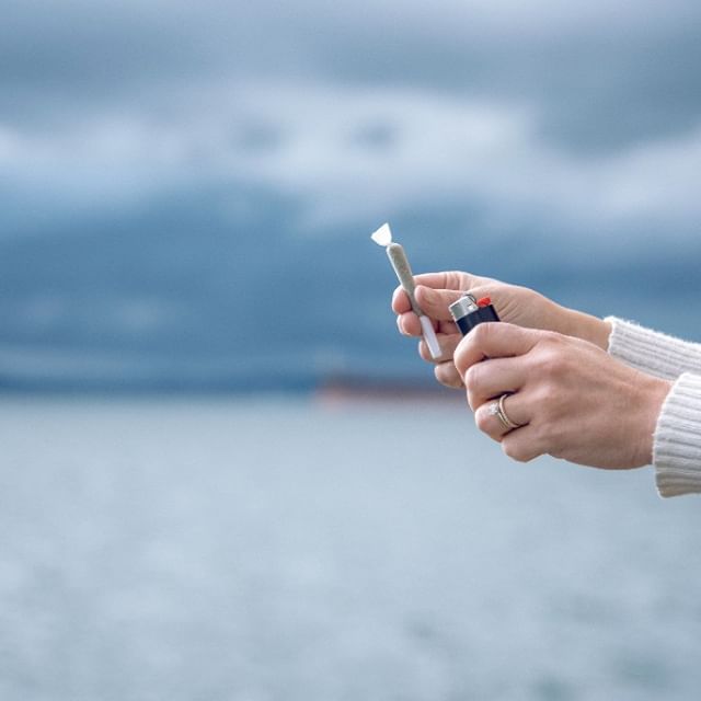 The Reef - Bremerton Website