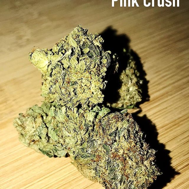 Canna Couriers Website