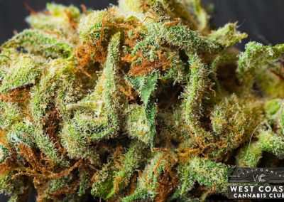 West Coast Cannabis Club - Palm Desert Website