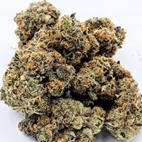 New MexiCann Website