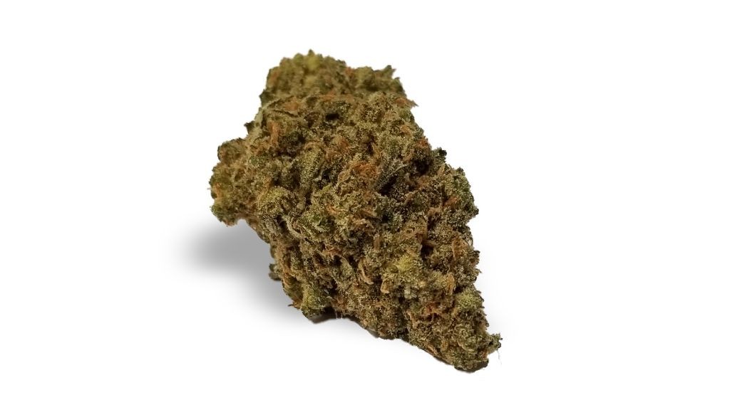 Nature's Medicines - Fall River Website